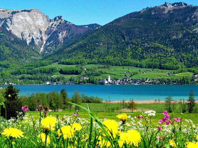 Haus Zimmermann Hotel Sankt Wolfgang im Salzkammergut Luaran gambar